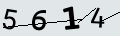 verifycode